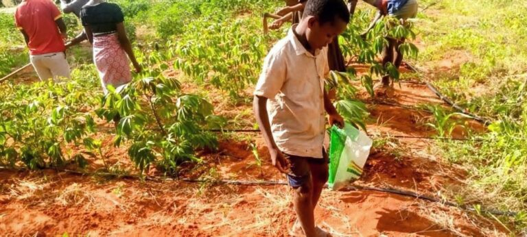 IMG-20250714-WA0001~3