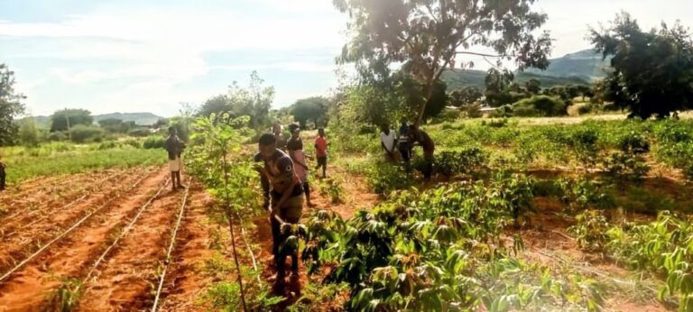 IMG-20250714-WA0002~3