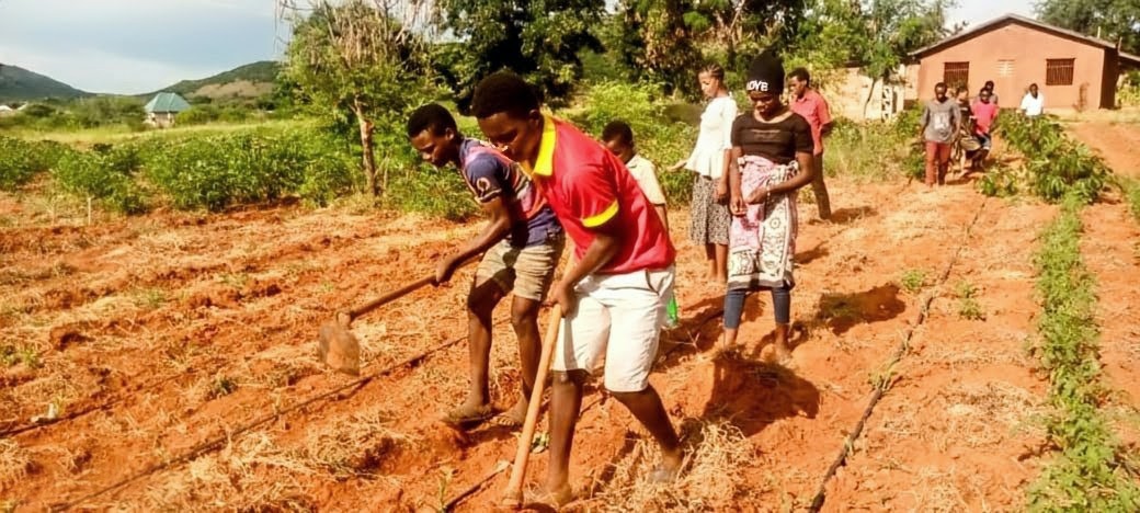 IMG-20250714-WA0003~3