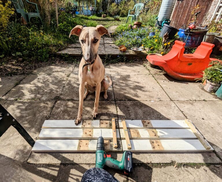 PXL_20240419_150811185~2