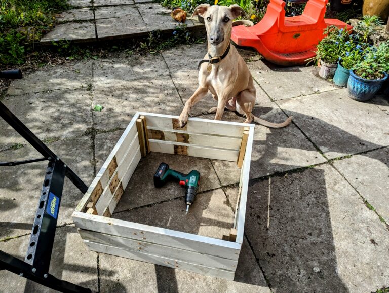 PXL_20240419_152522551~2