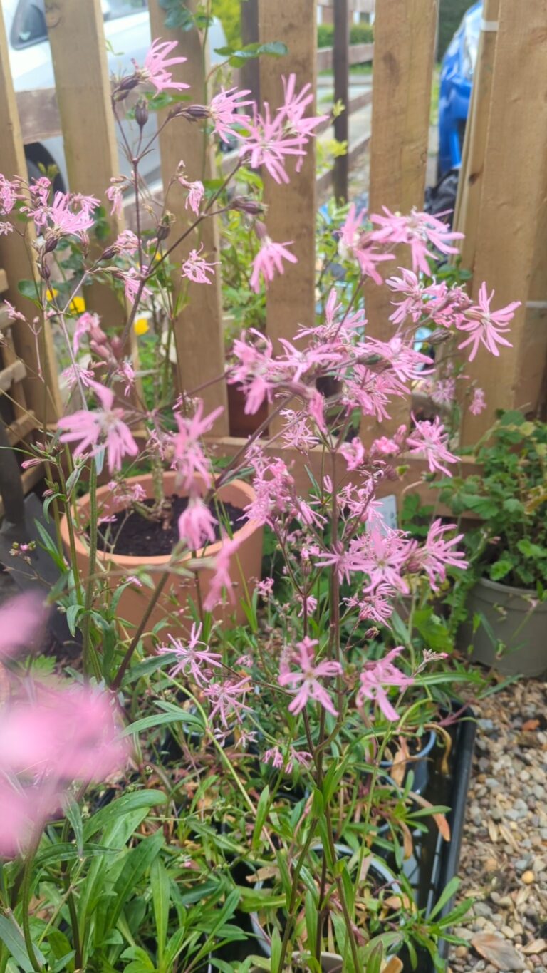 PXL_20240517_122435929.TS_exported_8702_1717184249891