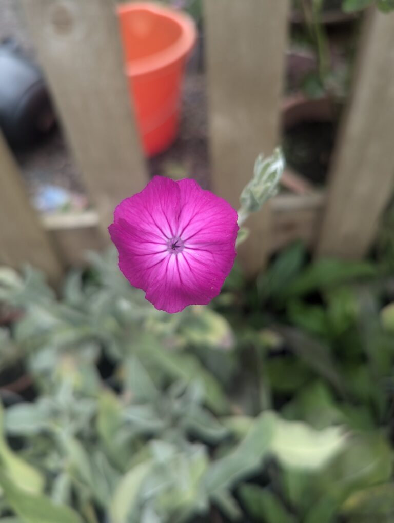 PXL_20240729_164420972